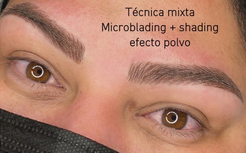 Técnica Mixta